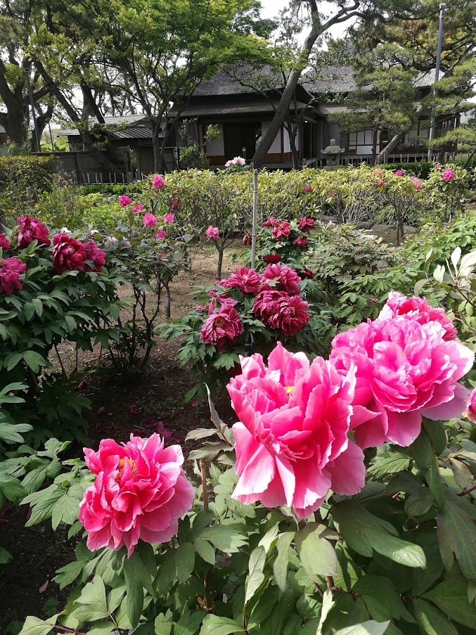 f:id:tidyup:20190501034029p:plain
