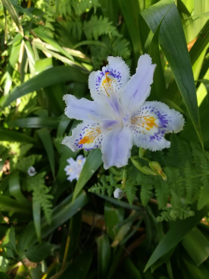 f:id:tidyup:20190513165526p:plain f:id:tidyup:20190513165526p:plain