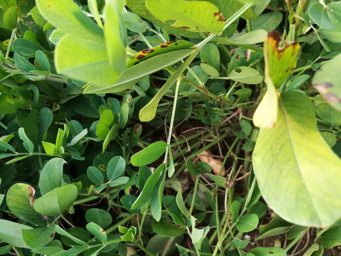f:id:tidyup:20191001155156p:plain