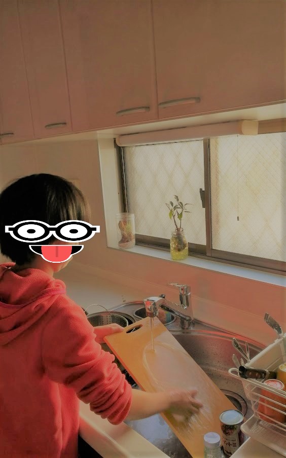 f:id:tidyup:20200425041846j:plain