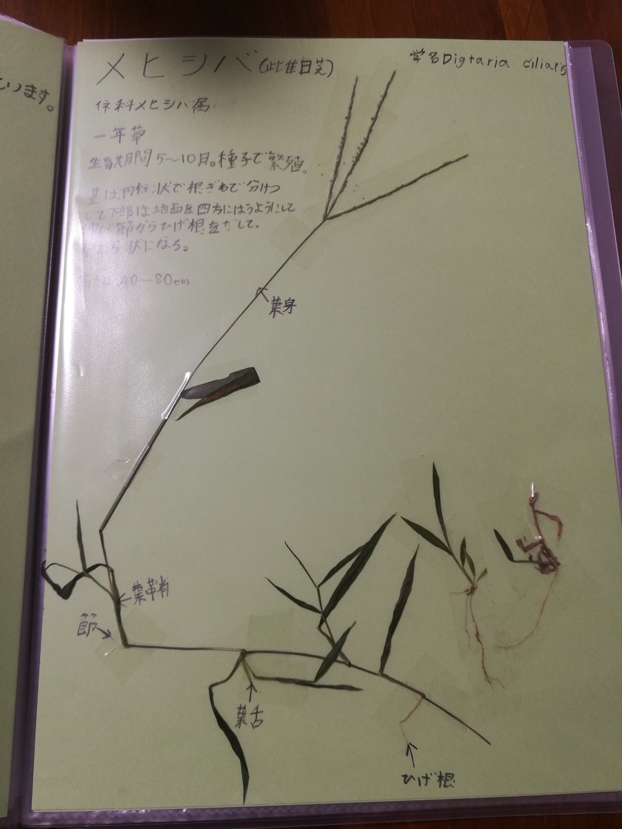 f:id:tidyup:20200816024246j:plain
