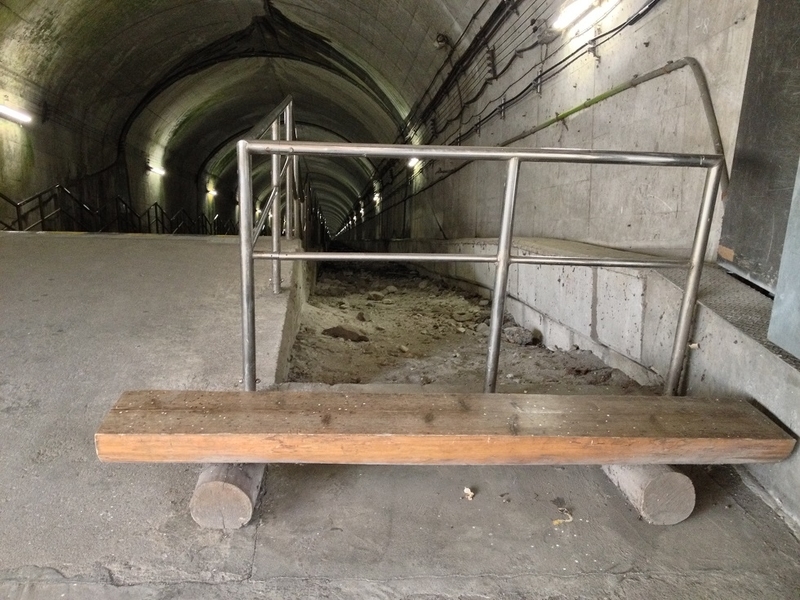 f:id:tiemao_lykoi:20210209113215j:plain