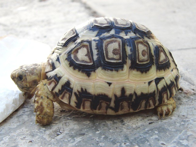 f:id:tierra_verde:20110228155337j:image