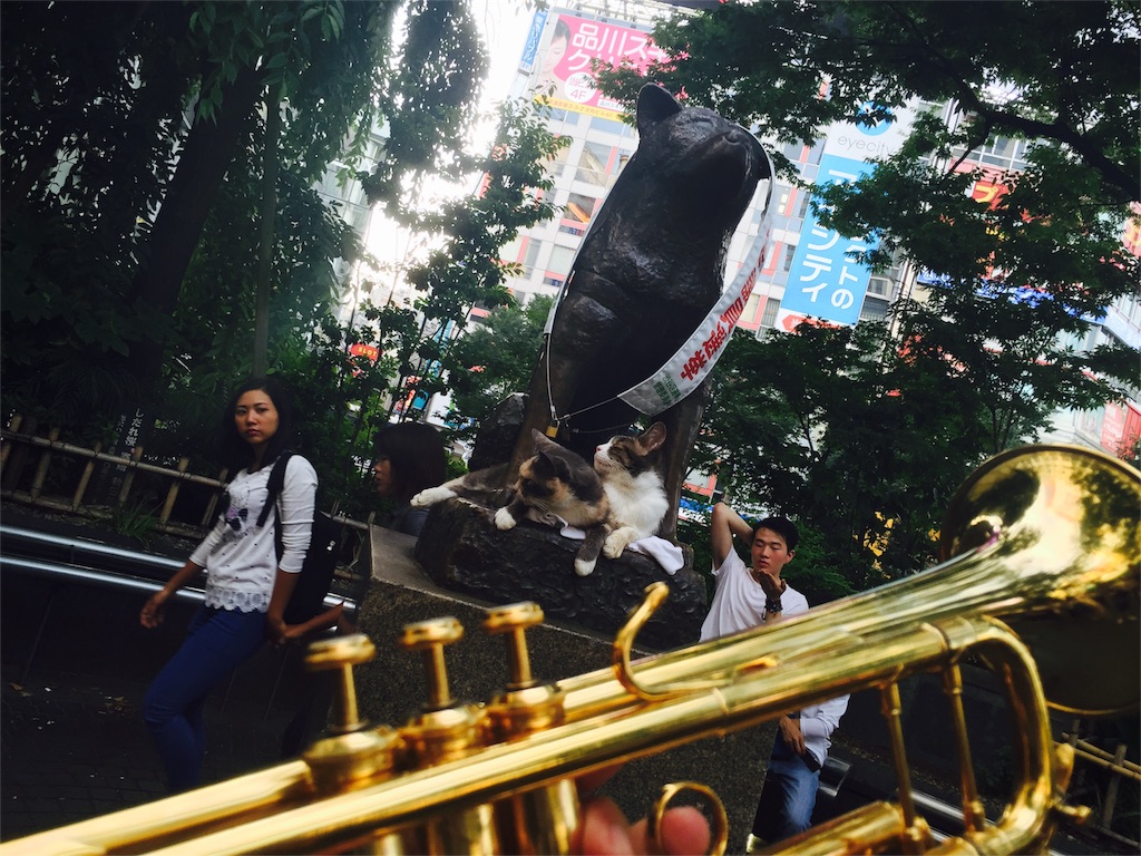 f:id:tiger1tp:20170516101553j:image f:id:tiger1tp:20170516101553j:image