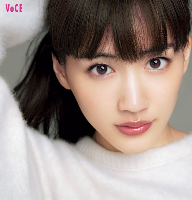 f:id:tigerace1943:20190109092848j:plain