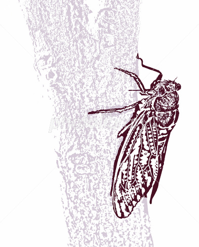 f:id:tigerace1943:20190817135315j:plain