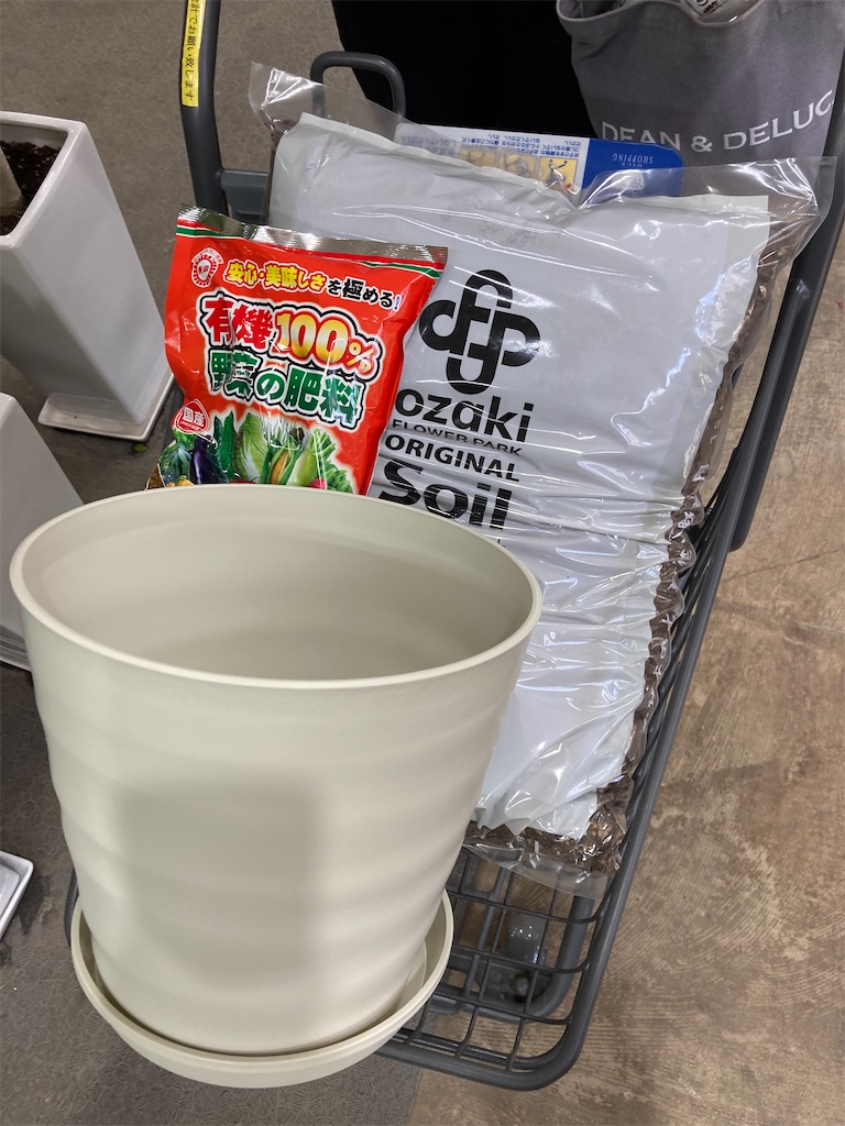 f:id:tigerdriver-91:20210501175410j:image f:id:tigerdriver-91:20210501175410j:image