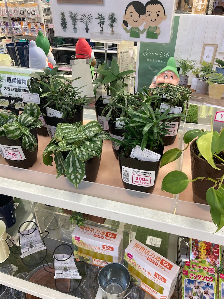 f:id:tigerdriver-91:20210502153137j:image