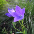 20150809234538