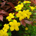 20160410132550