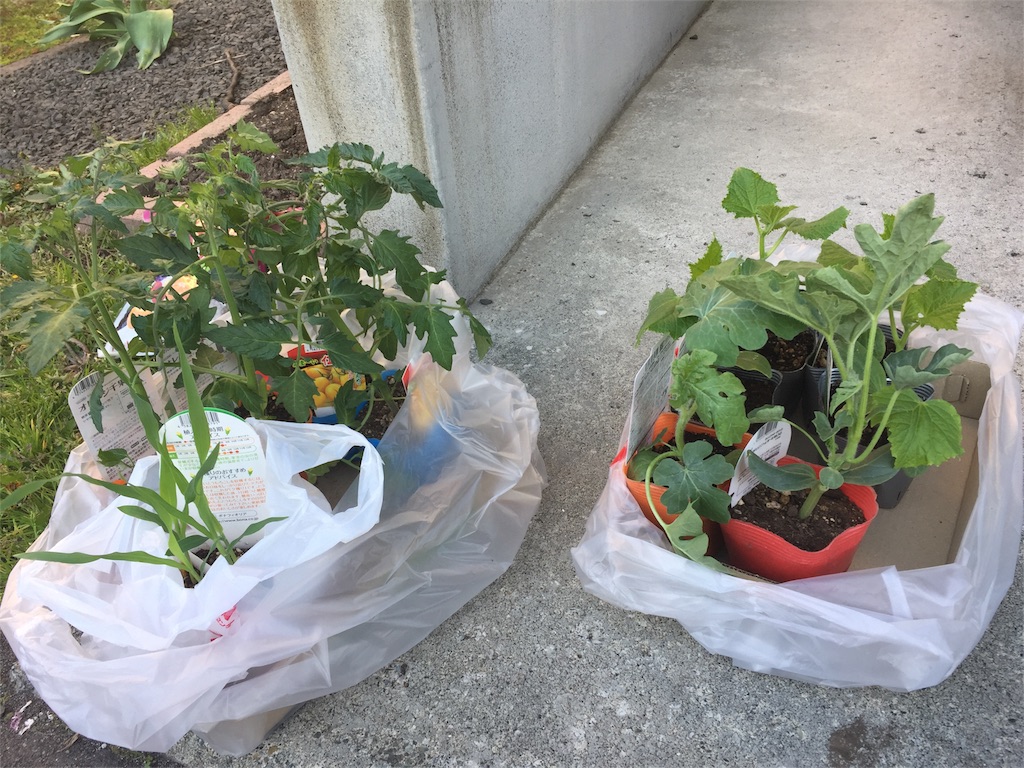 f:id:tigger-soukai:20170519112151j:image f:id:tigger-soukai:20170519112151j:image