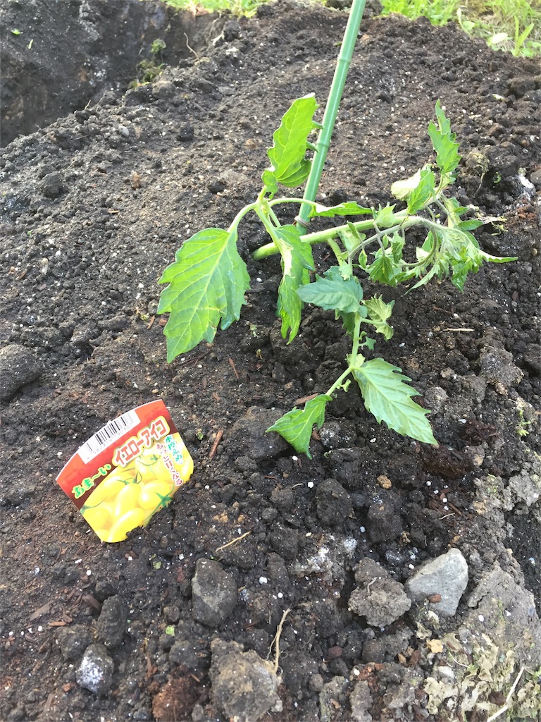 f:id:tigger-soukai:20170519112454j:image f:id:tigger-soukai:20170519112454j:image