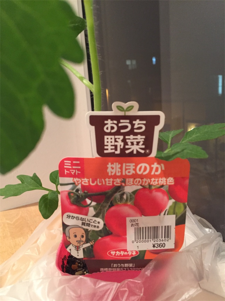 f:id:tigger-soukai:20170524112709j:image