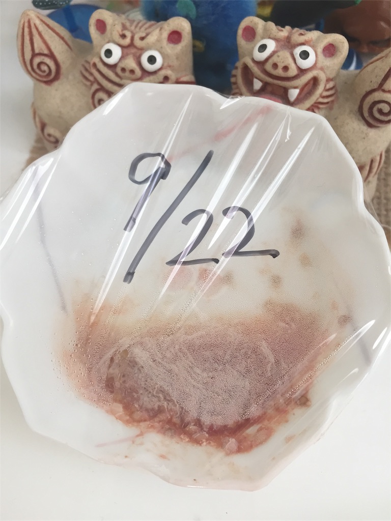 f:id:tigger-soukai:20170925074016j:image f:id:tigger-soukai:20170925074016j:image