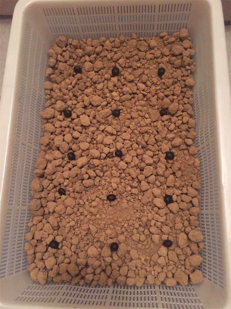 f:id:tigger-soukai:20180430225838j:image