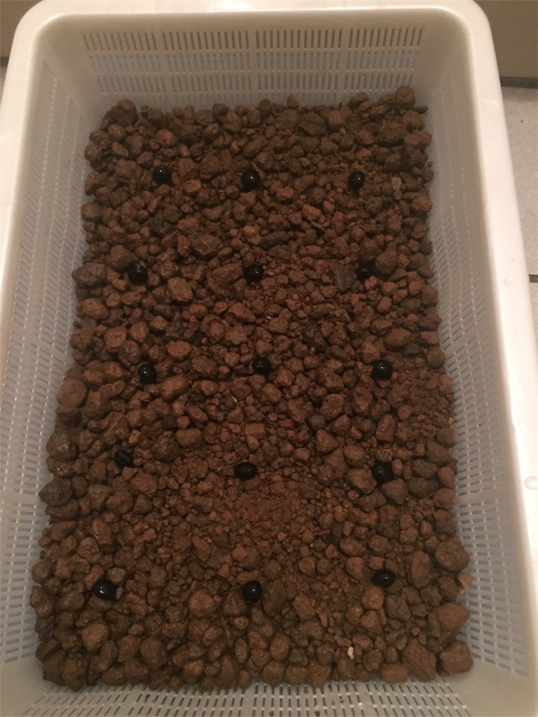 f:id:tigger-soukai:20180430225848j:image