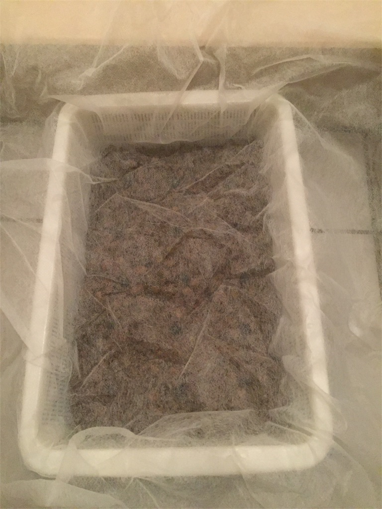 f:id:tigger-soukai:20180430225858j:image