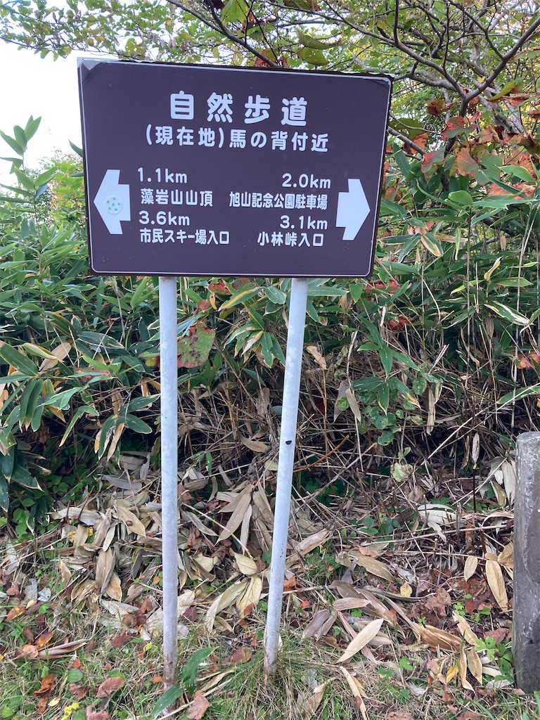 f:id:tigger-soukai:20221001181001j:image