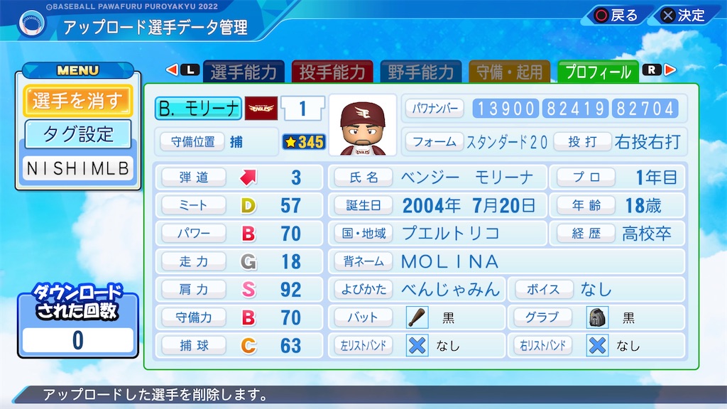 f:id:tigpawapro:20240520215658j:image
