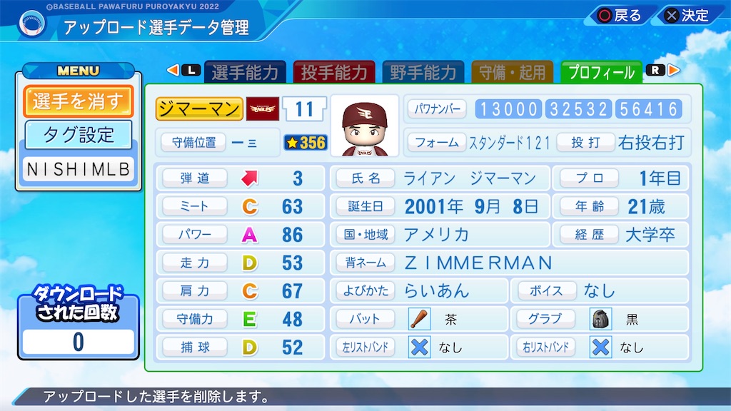 f:id:tigpawapro:20240604211258j:image