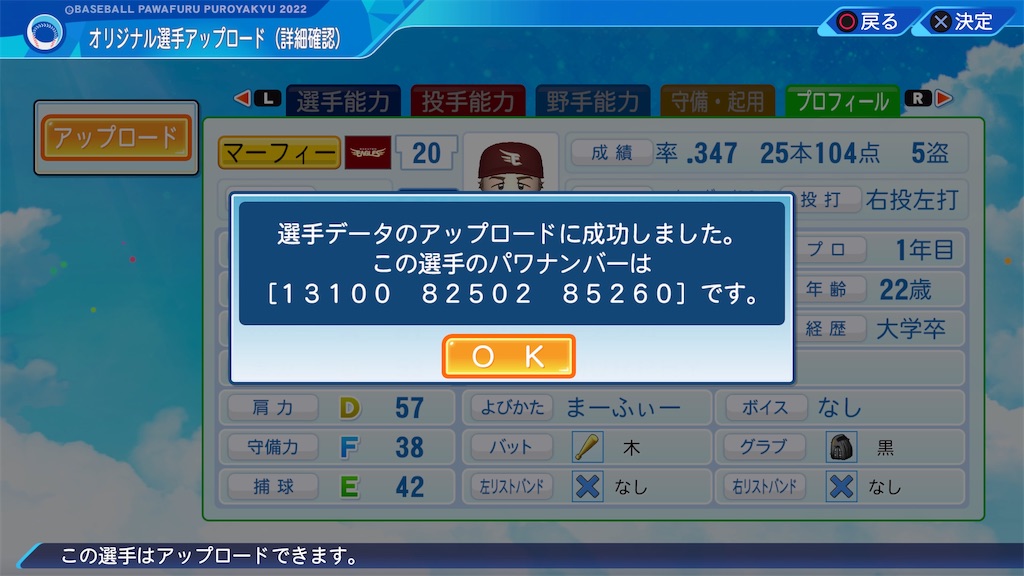f:id:tigpawapro:20240606220859j:image