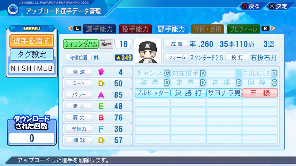 f:id:tigpawapro:20240611200955j:image