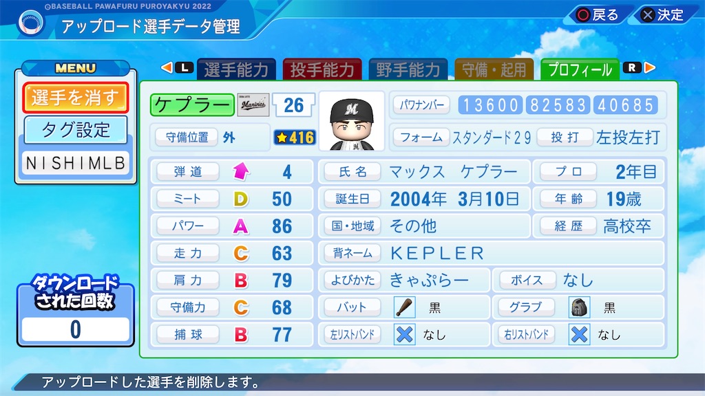 f:id:tigpawapro:20240613212200j:image