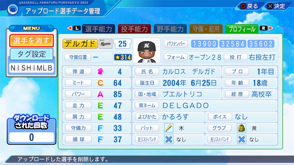 f:id:tigpawapro:20240615155332j:image