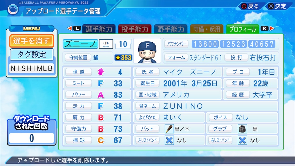 f:id:tigpawapro:20240615171802j:image
