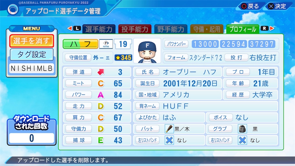 f:id:tigpawapro:20240615173550j:image