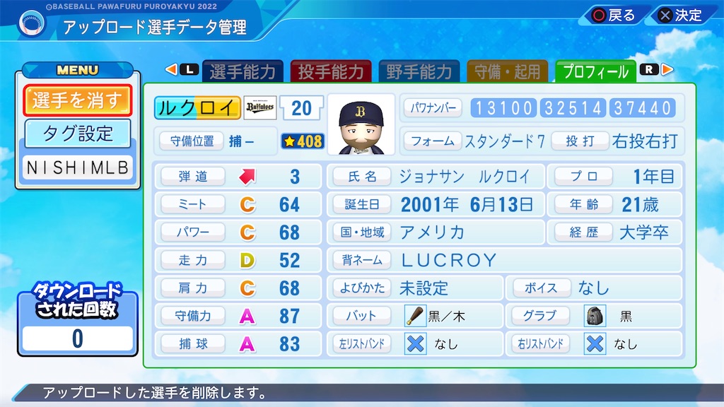 f:id:tigpawapro:20240615194843j:image