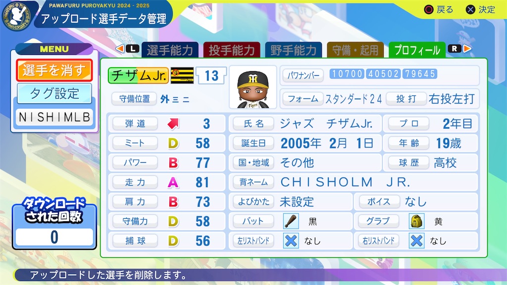 f:id:tigpawapro:20241027212917j:image