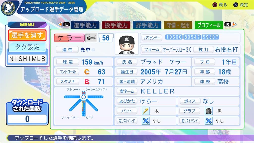 f:id:tigpawapro:20241112223203j:image