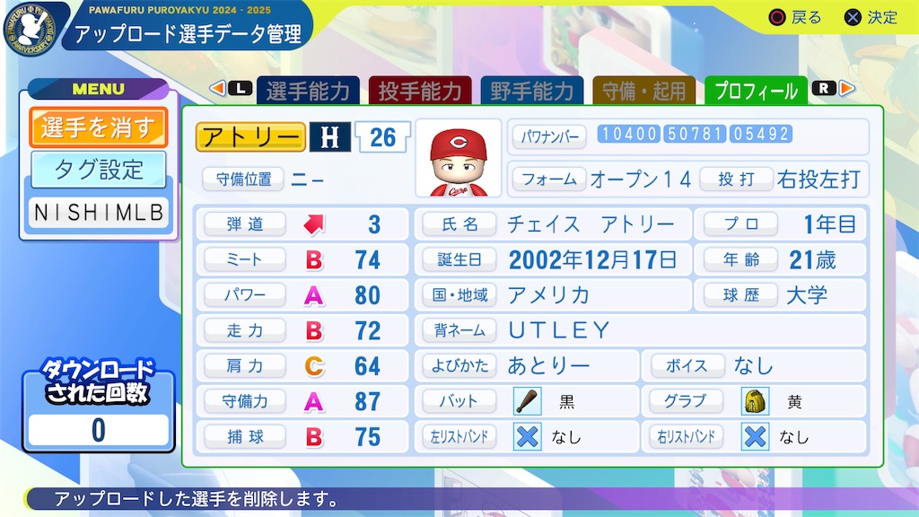 f:id:tigpawapro:20250109213029j:image