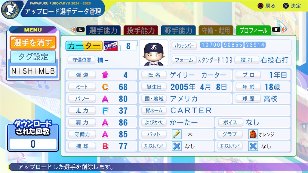 f:id:tigpawapro:20250329154756j:image