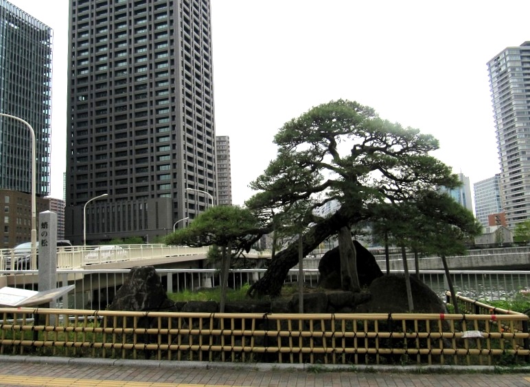 f:id:tiiibikuro:20200501011300j:plain
