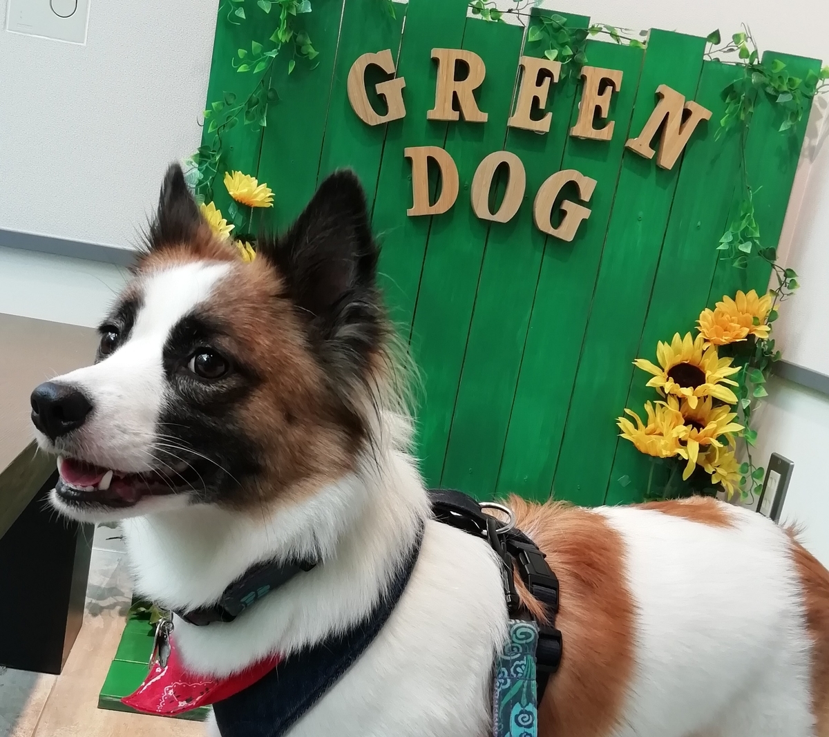 f:id:tiiiiiiippi:20190813133333j:plain f:id:tiiiiiiippi:20190813133333j:plain