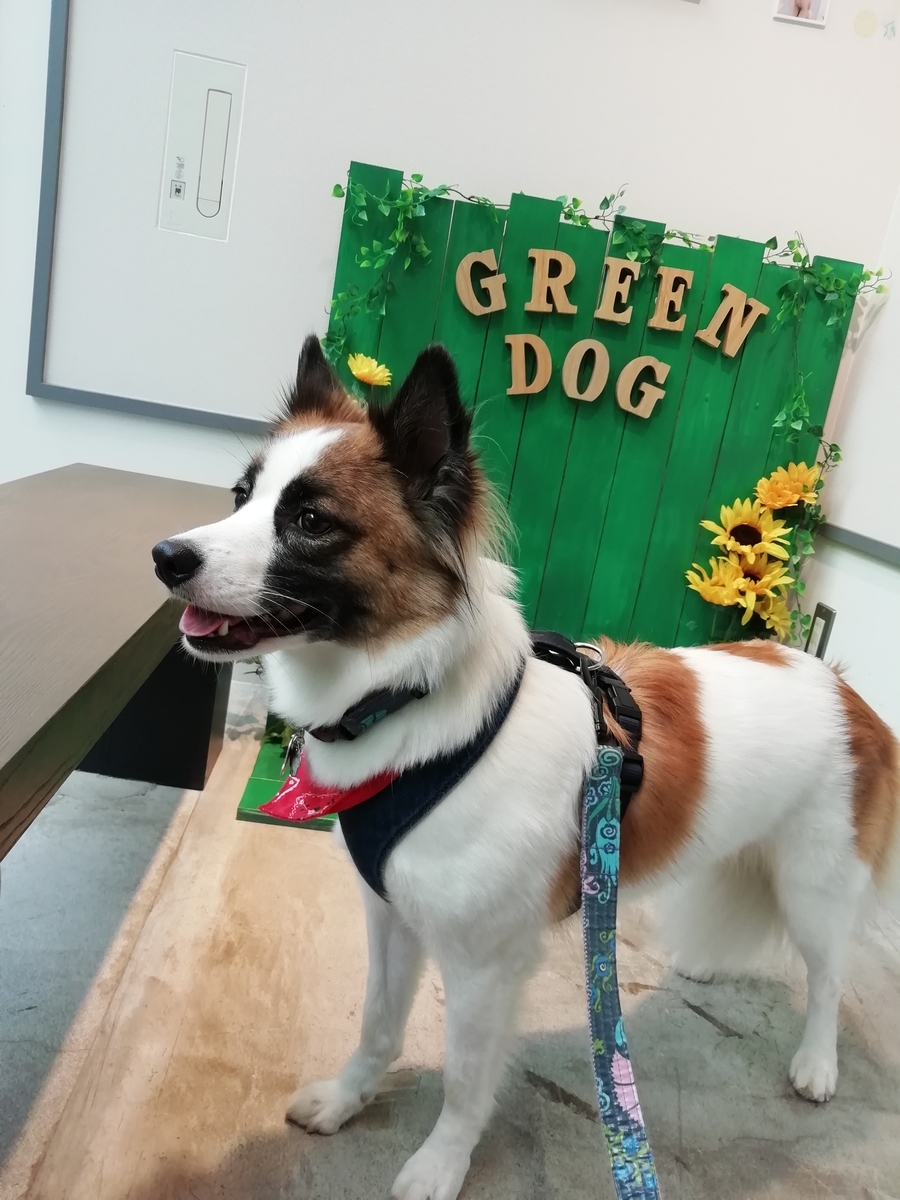 f:id:tiiiiiiippi:20190813133406j:plain f:id:tiiiiiiippi:20190813133406j:plain