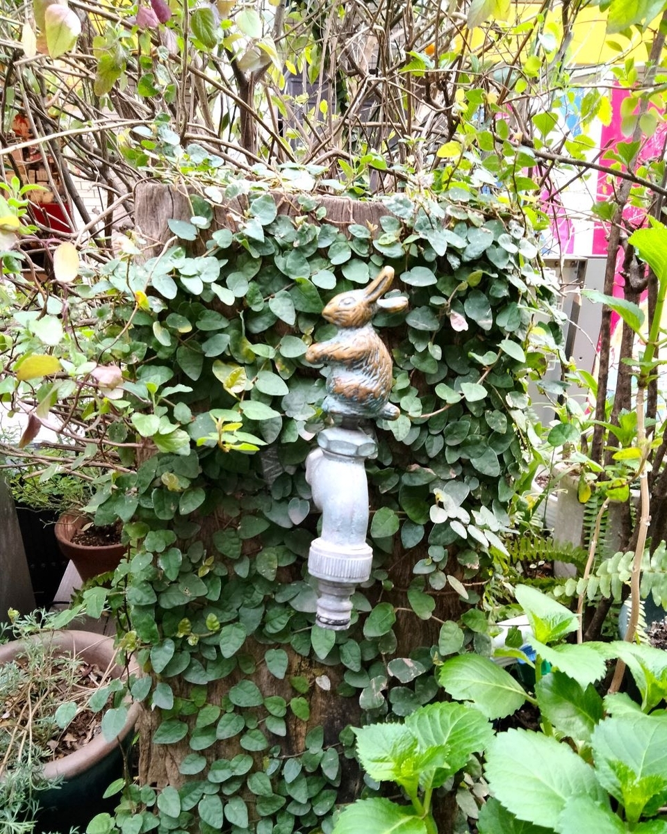 ピーターラビットガーデンカフェ