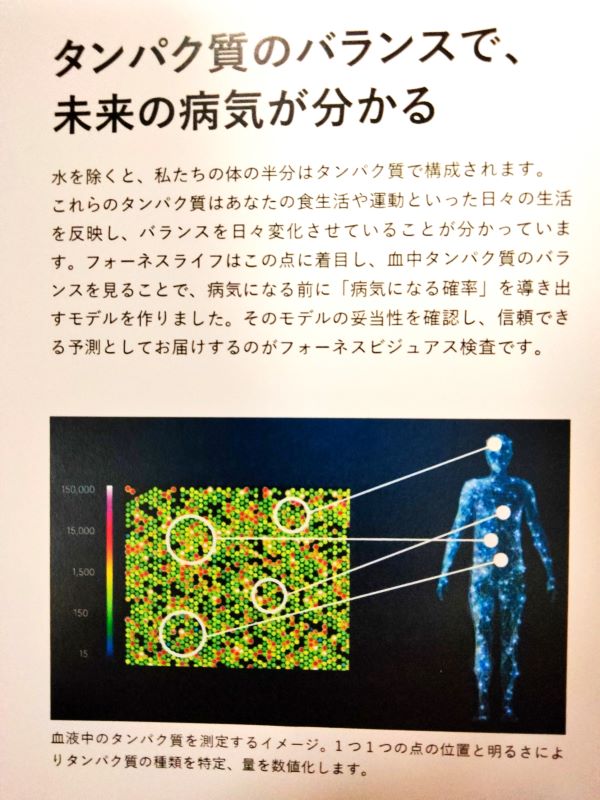 フォーネスビジュアス