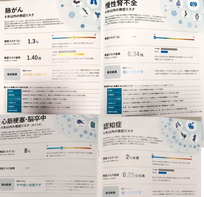 フォーネスビジュアス