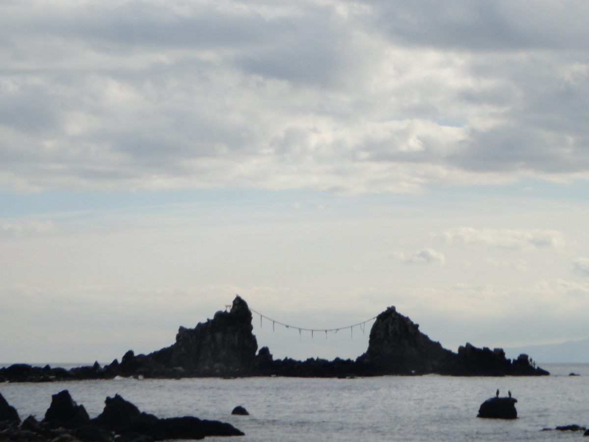 f:id:tiitoharu:20200107143308j:plain