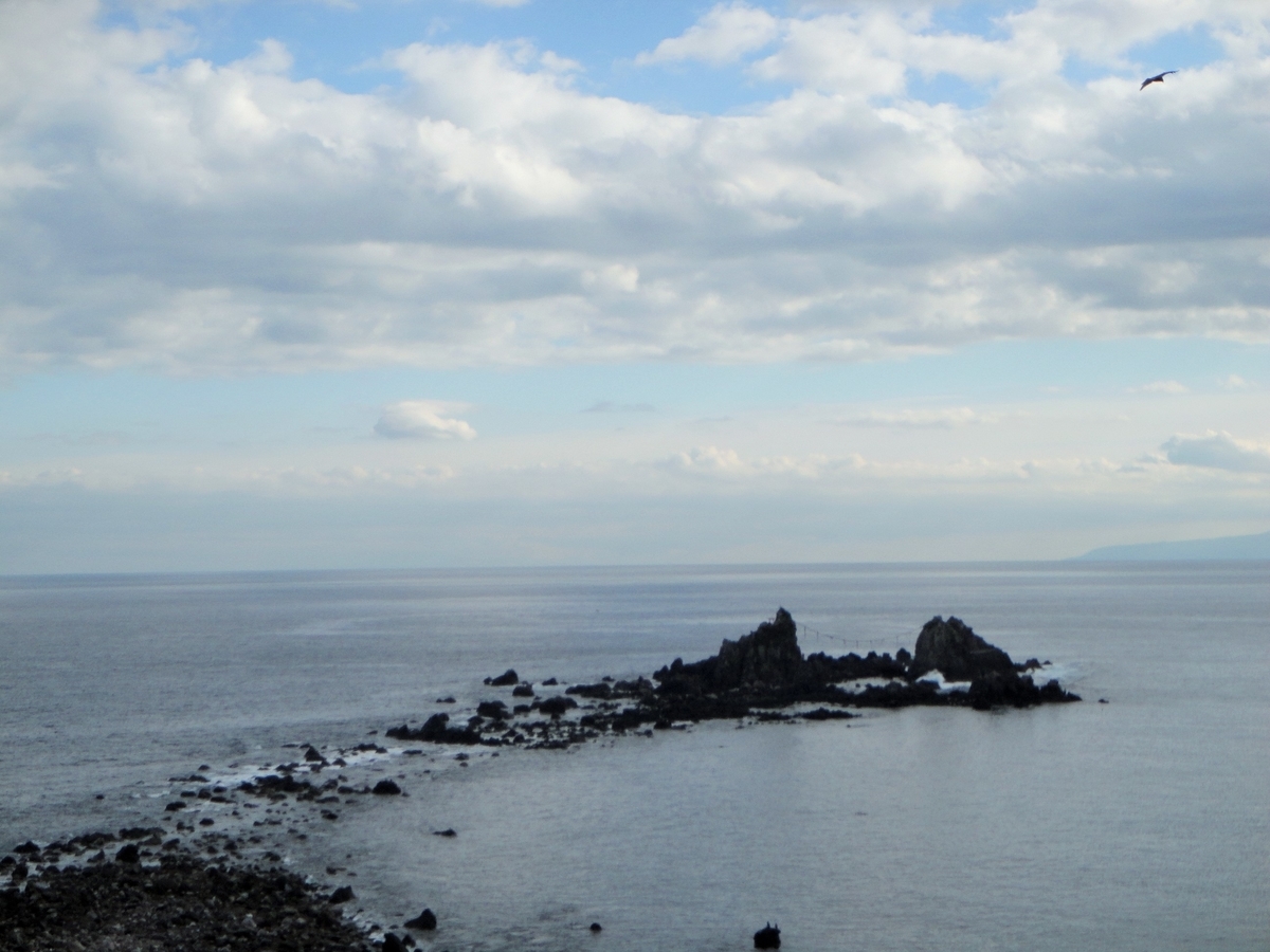 f:id:tiitoharu:20200107143620j:plain