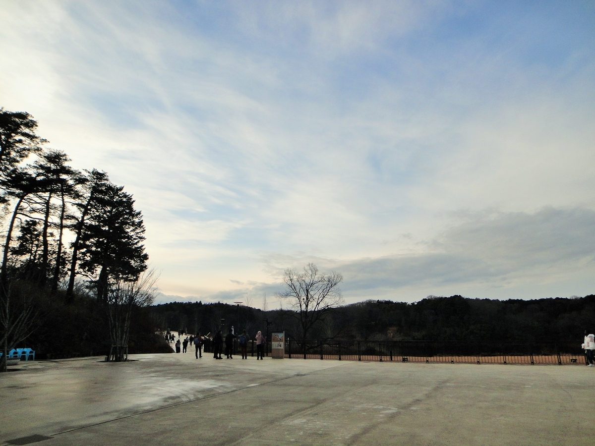 f:id:tiitoharu:20200119204058j:plain