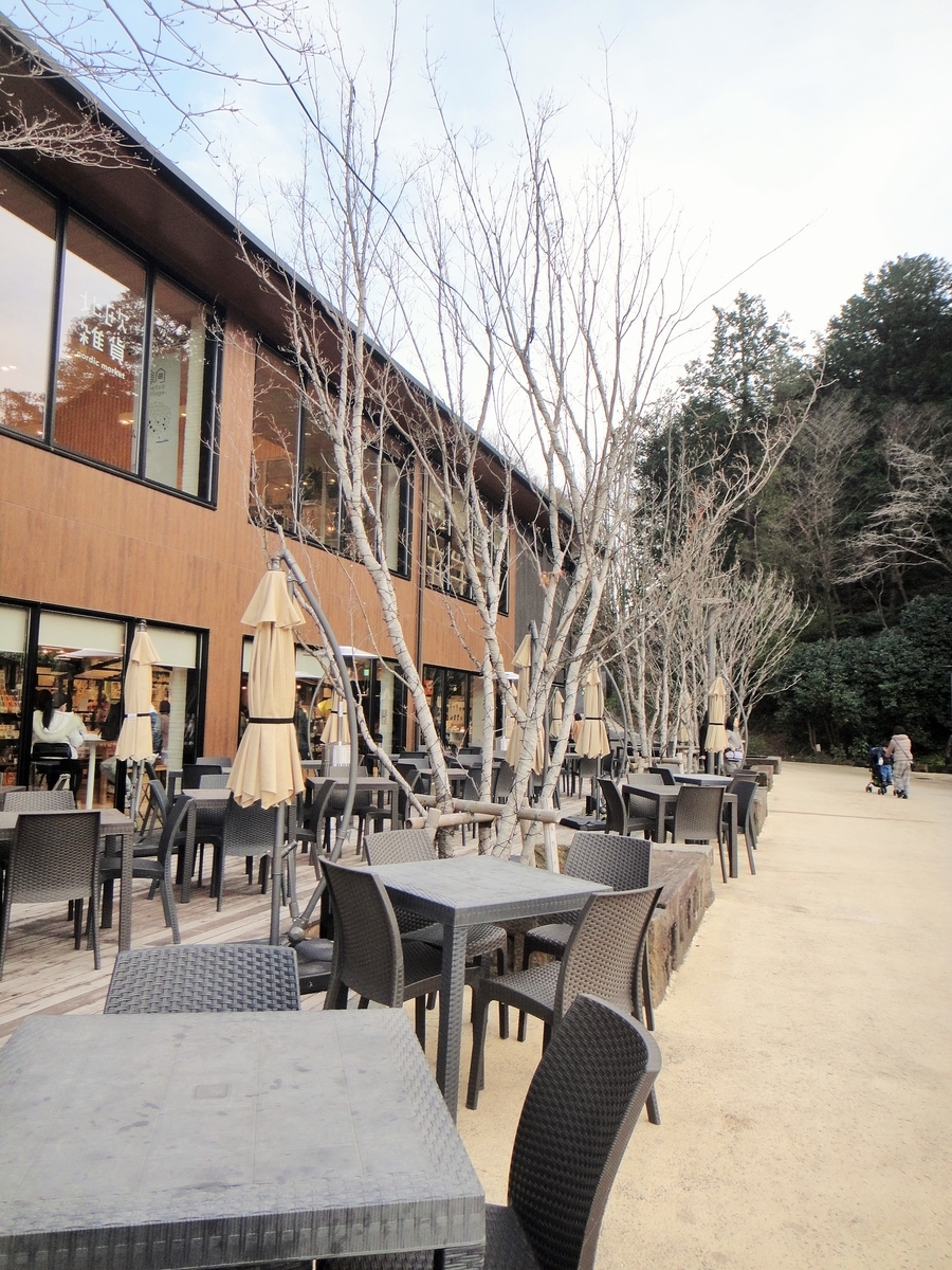 f:id:tiitoharu:20200119204143j:plain