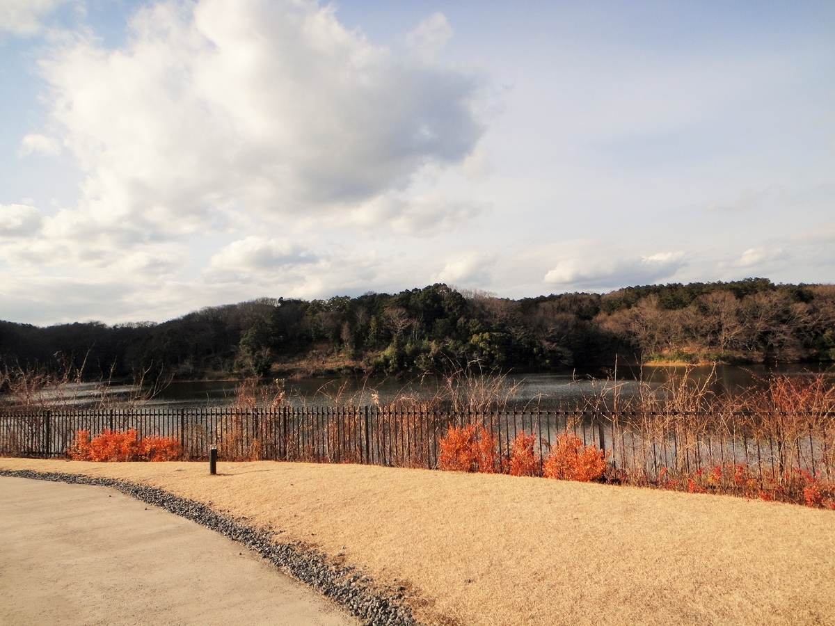 f:id:tiitoharu:20200119205540j:plain