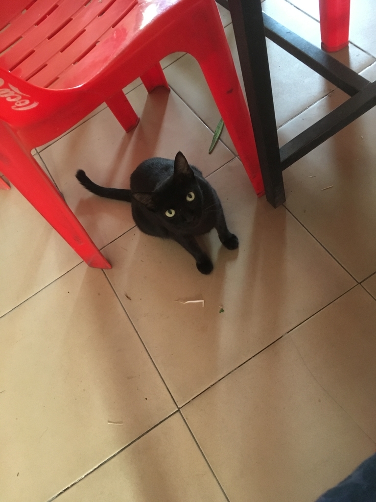 f:id:tiktick:20181122201751j:plain