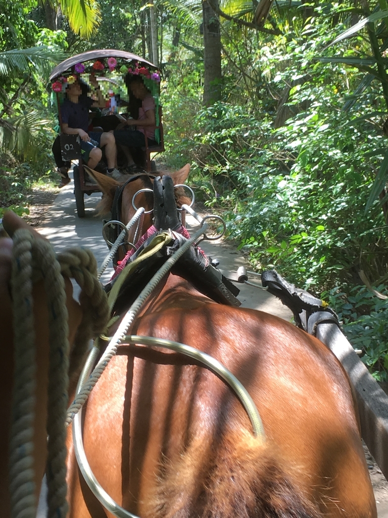 f:id:tiktick:20181123194952j:plain