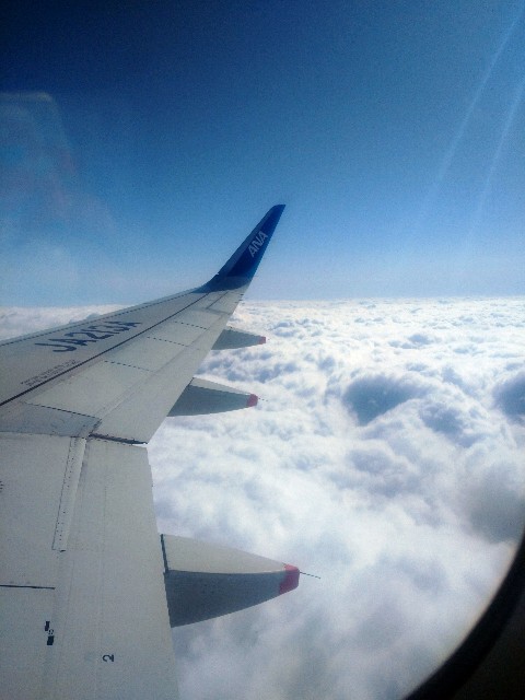 f:id:tiku_rin3:20260129195545j:image