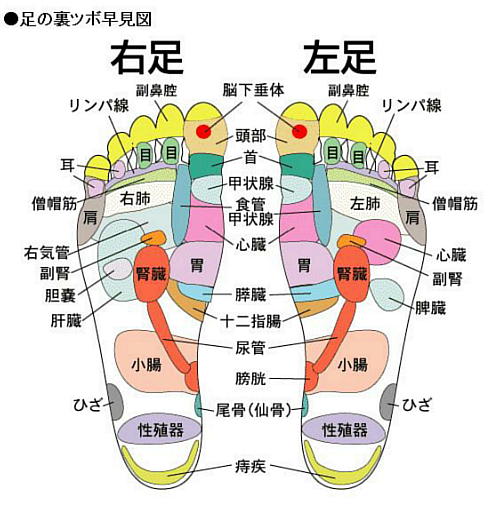 f:id:tikutikuwa-wa:20200529214552j:plain f:id:tikutikuwa-wa:20200529214552j:plain